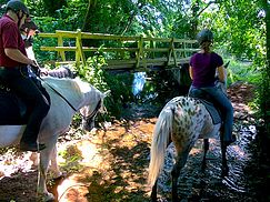stoats farm river crossing.jpg